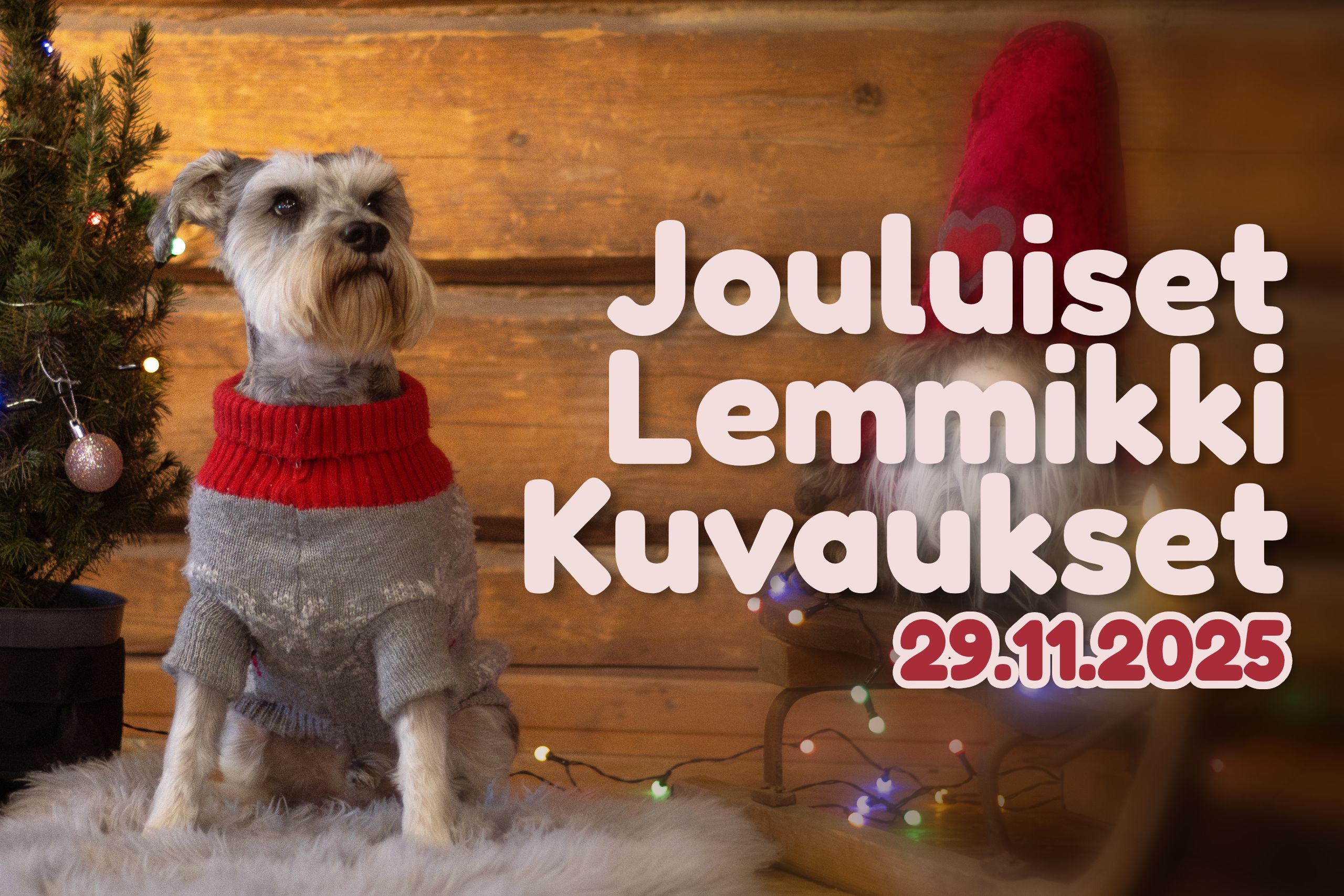 Lemmikin joulukuvaus